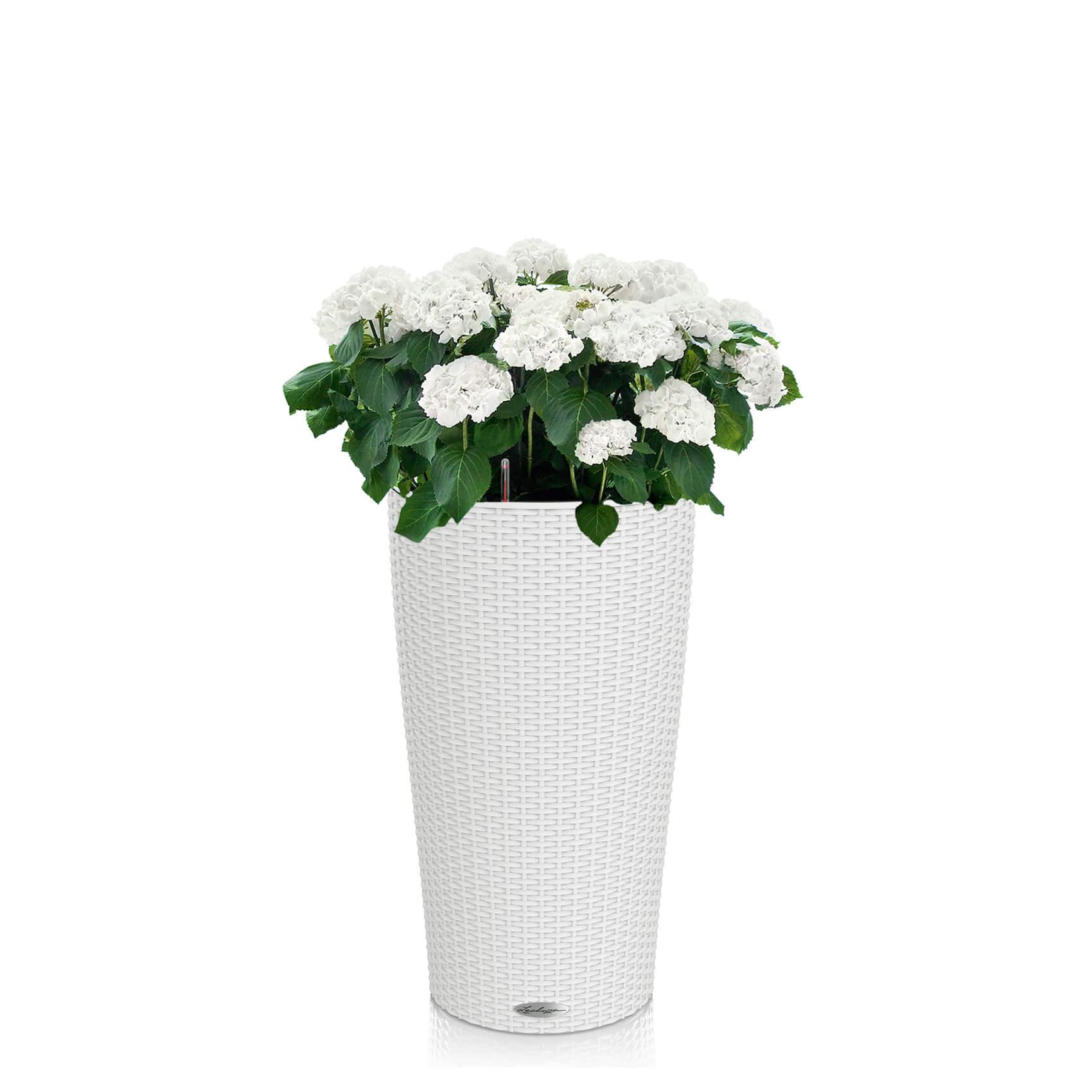 CILINDRO Cottage 23 white